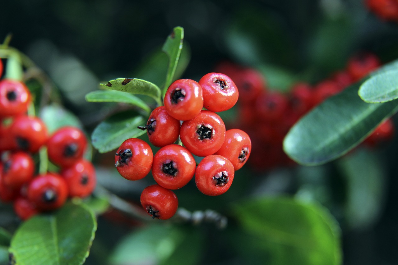 在检视石破 在检视石破