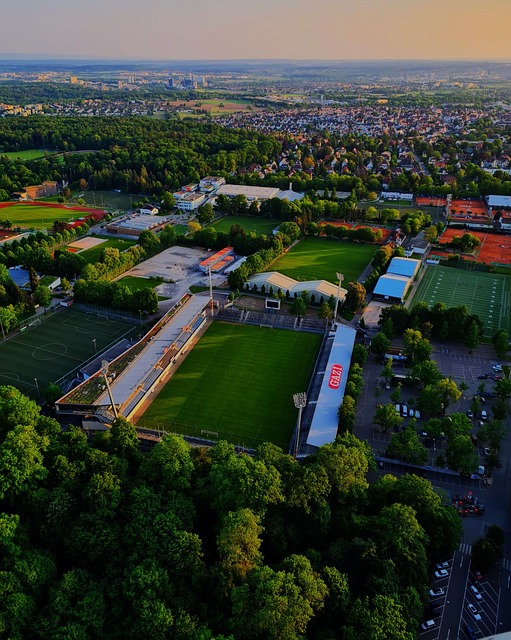 斯的优势 斯的优势